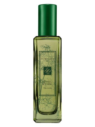 Carrot Blossom & Fennel