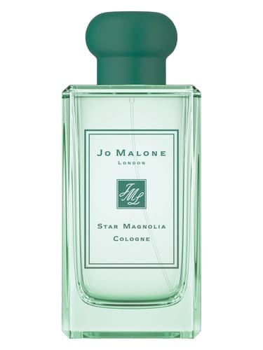 Star Magnolia Cologne (2019)