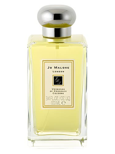 Verbenas of Provence