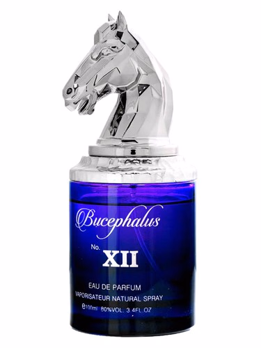 Bucephalus XII
