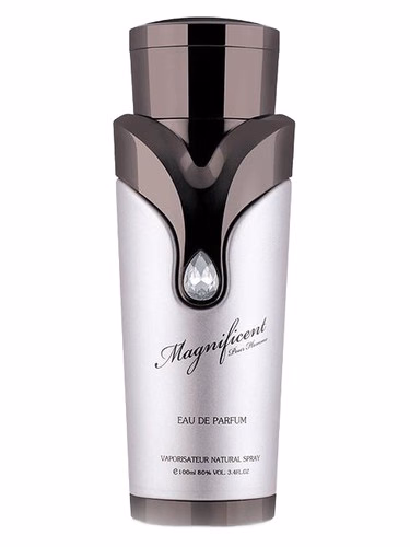 Magnificent Pour Homme