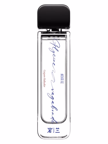 Glycine Vagabonde 蝴蝶花