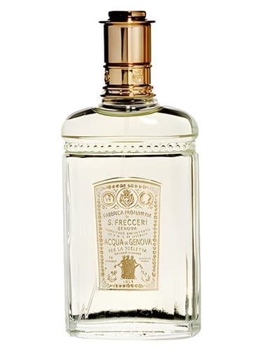 1853 Lady