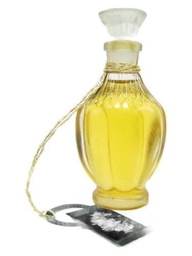 Narcisse Dark