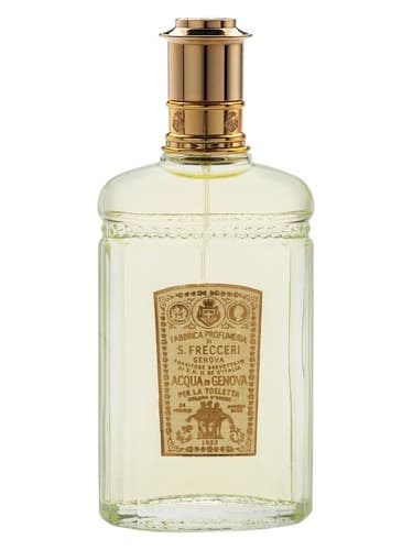 Colonia Classica