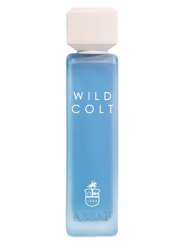 Wild Colt