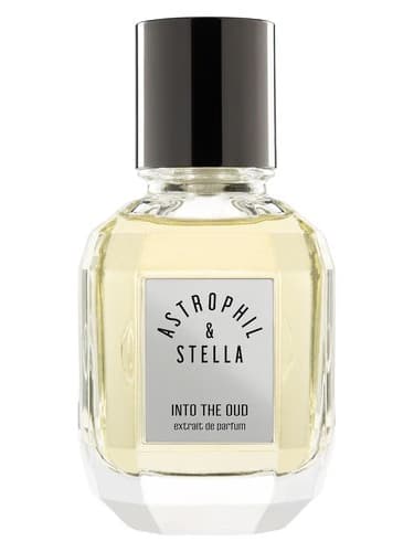 Into The Oud