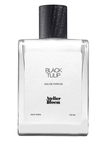 Black Tulip