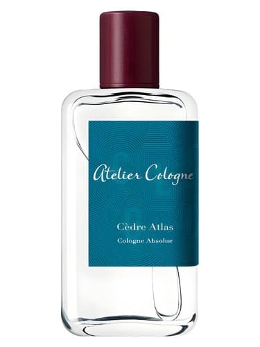 Cedre Atlas