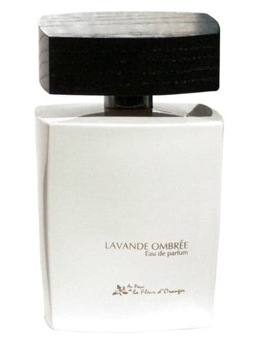Lavande Ombree