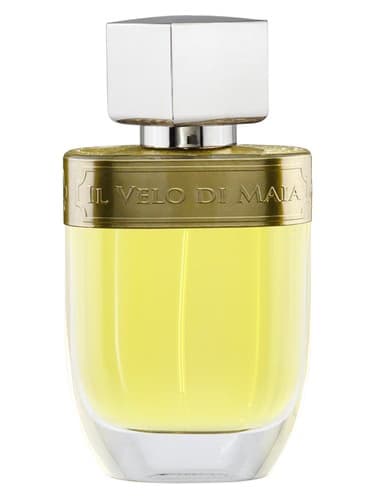 Il Velo di Maia