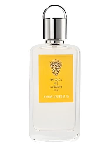 Osmanthus