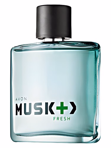Musk + > Fresh