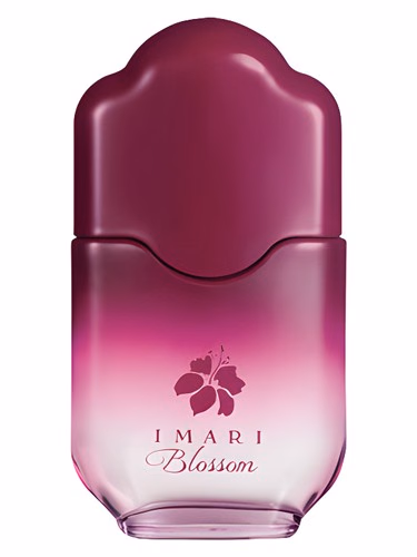 Imari Blossom