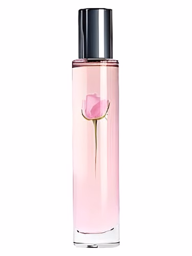 Sheer Rose