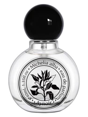 Michelia Alba 白兰