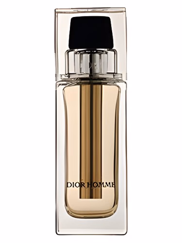 Dior Homme Voyage