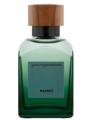 Bambú 2024