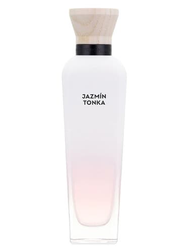 Jazmín Tonka