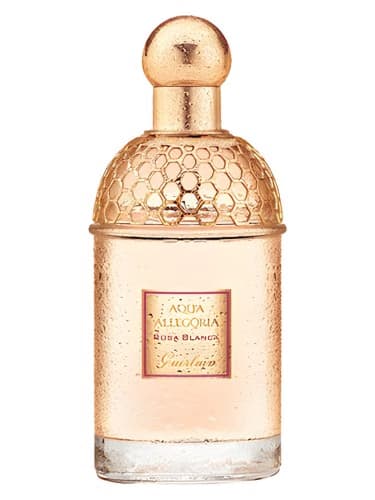 Aqua Allegoria Rosa Blanca