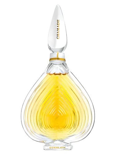 Chamade Extract