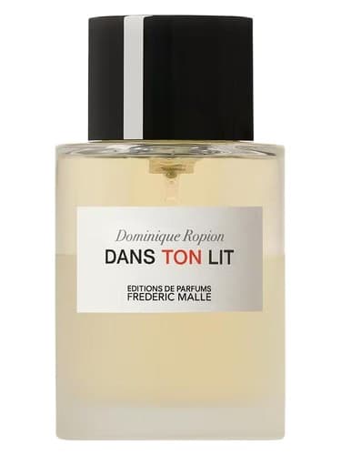 Dans Ton Lit