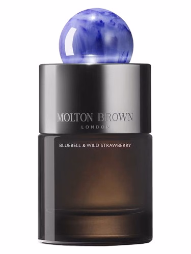 Bluebell & Wild Strawberry
