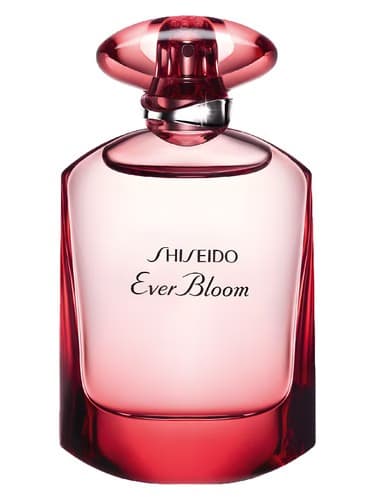 Ever Bloom Ginza Flower