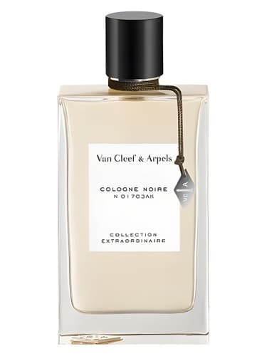 Cologne Noire