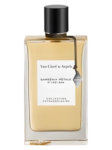 Gardenia Petale