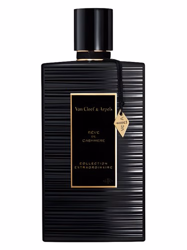 Rêve de Cashmere