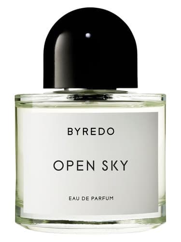 Open Sky