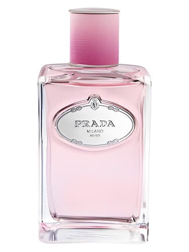Infusion de Rose