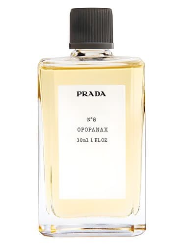 No8 Opopanax