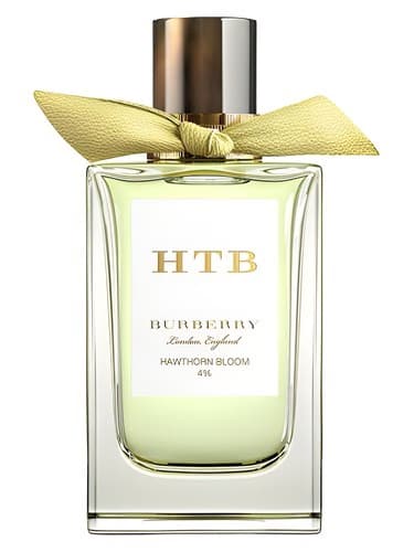 Hawthorn Bloom