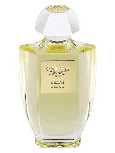 Cedre Blanc