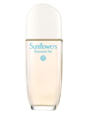 Sunflowers Summer Air