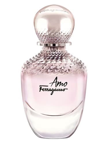 Amo Ferragamo