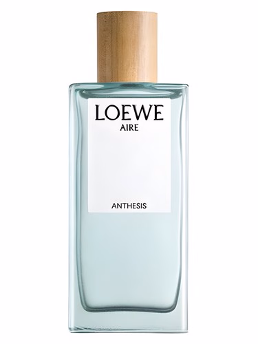Aire Anthesis