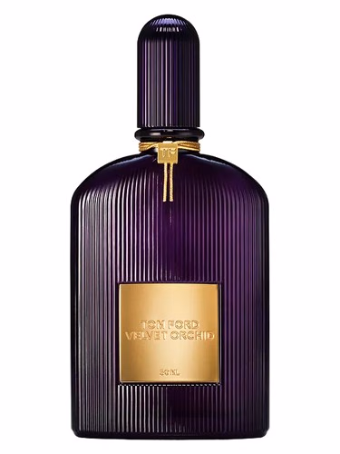 Velvet Orchid