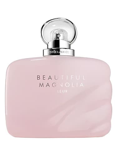 Beautiful Magnolia Fleur