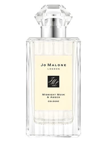 Midnight Musk & Amber