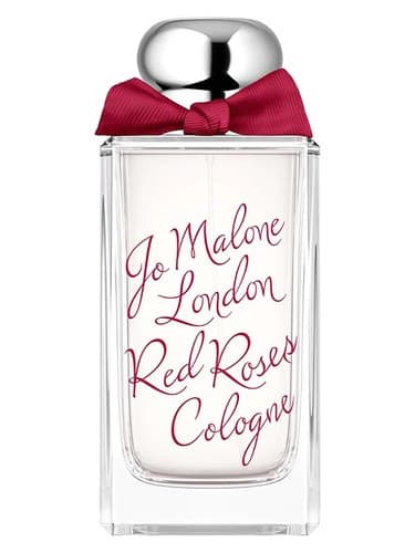 Red Roses Cologne