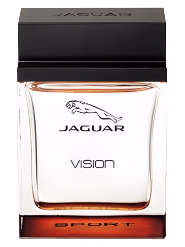 Jaguar Vision Sport