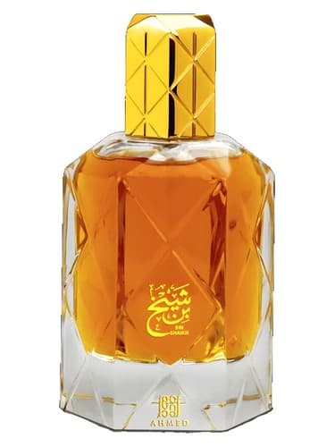 Bin Shaikh