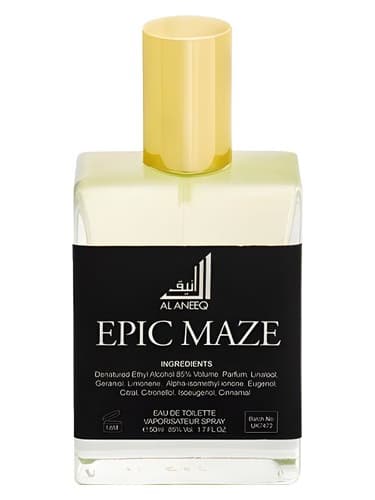 Epic Maze