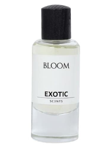 Bloom