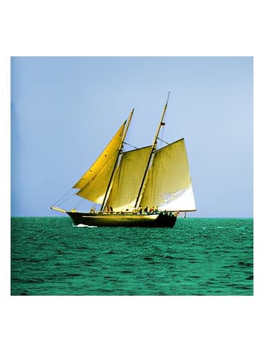 Sea Wood
