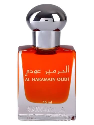 Oudi