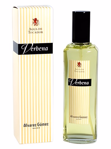 Verbena